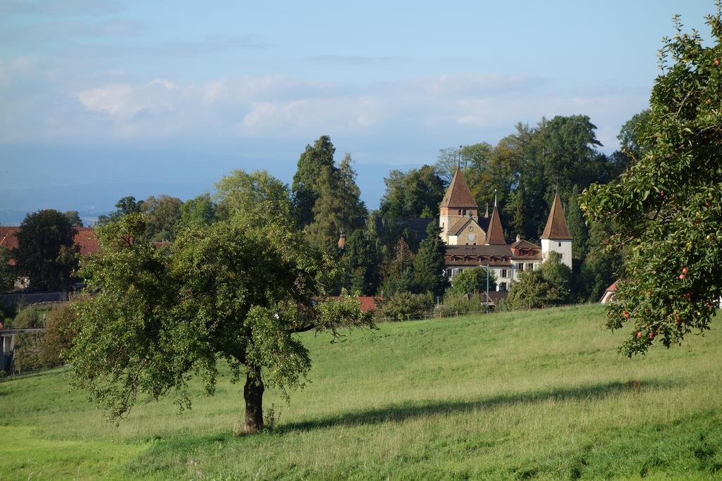 מורטן Schloss Muenchenwiler מראה חיצוני תמונה